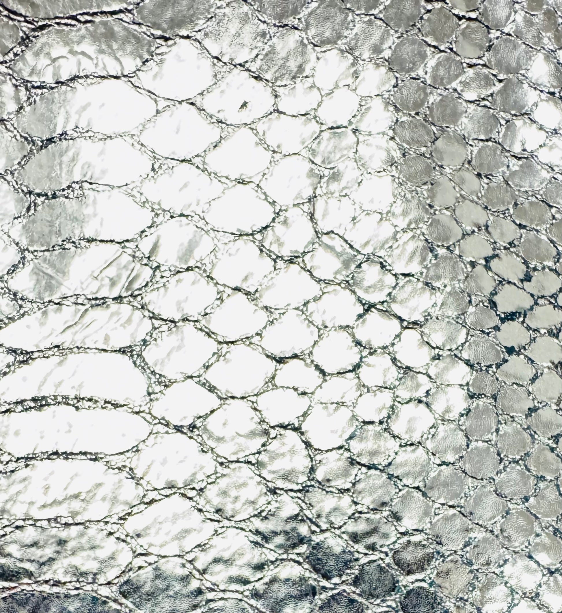 Couture Leather Jacket