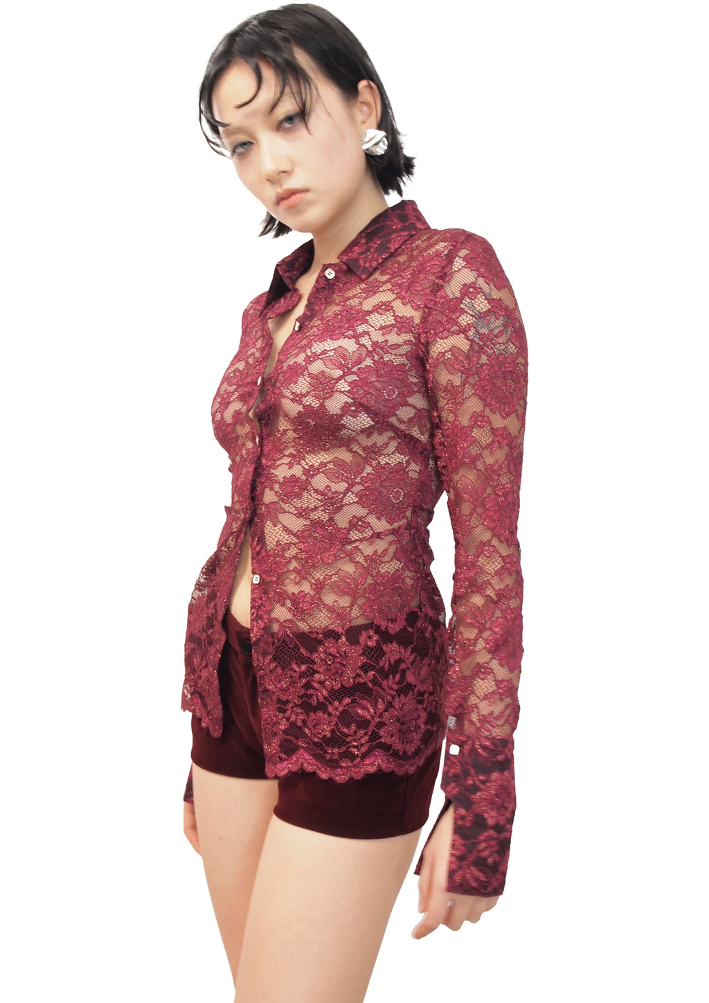 Long Sleeve Lace Blouse